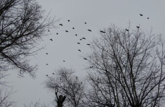 Достаем теплые вещи: жители Тверской области почувствуют дыхание осени