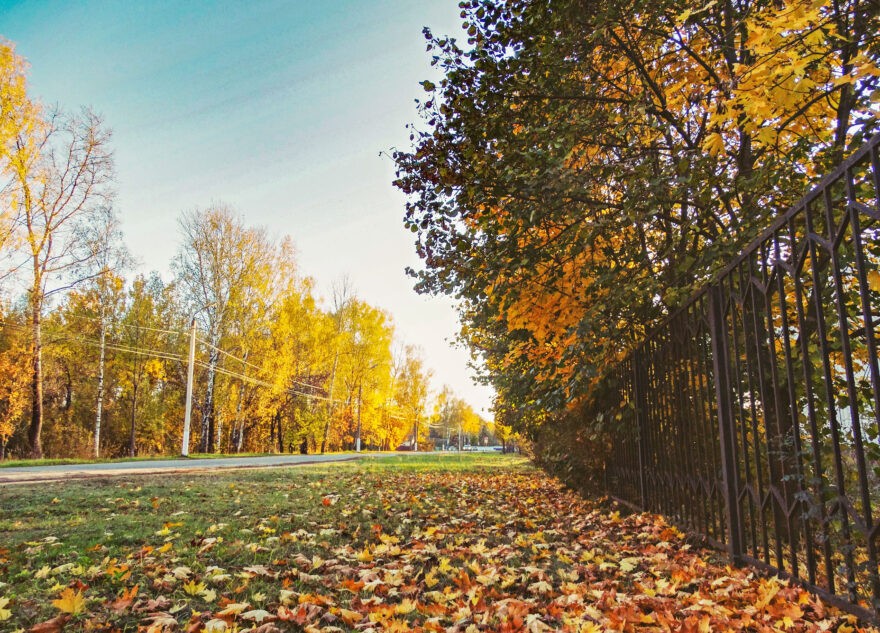 Названы главные опасности бабьего лета
