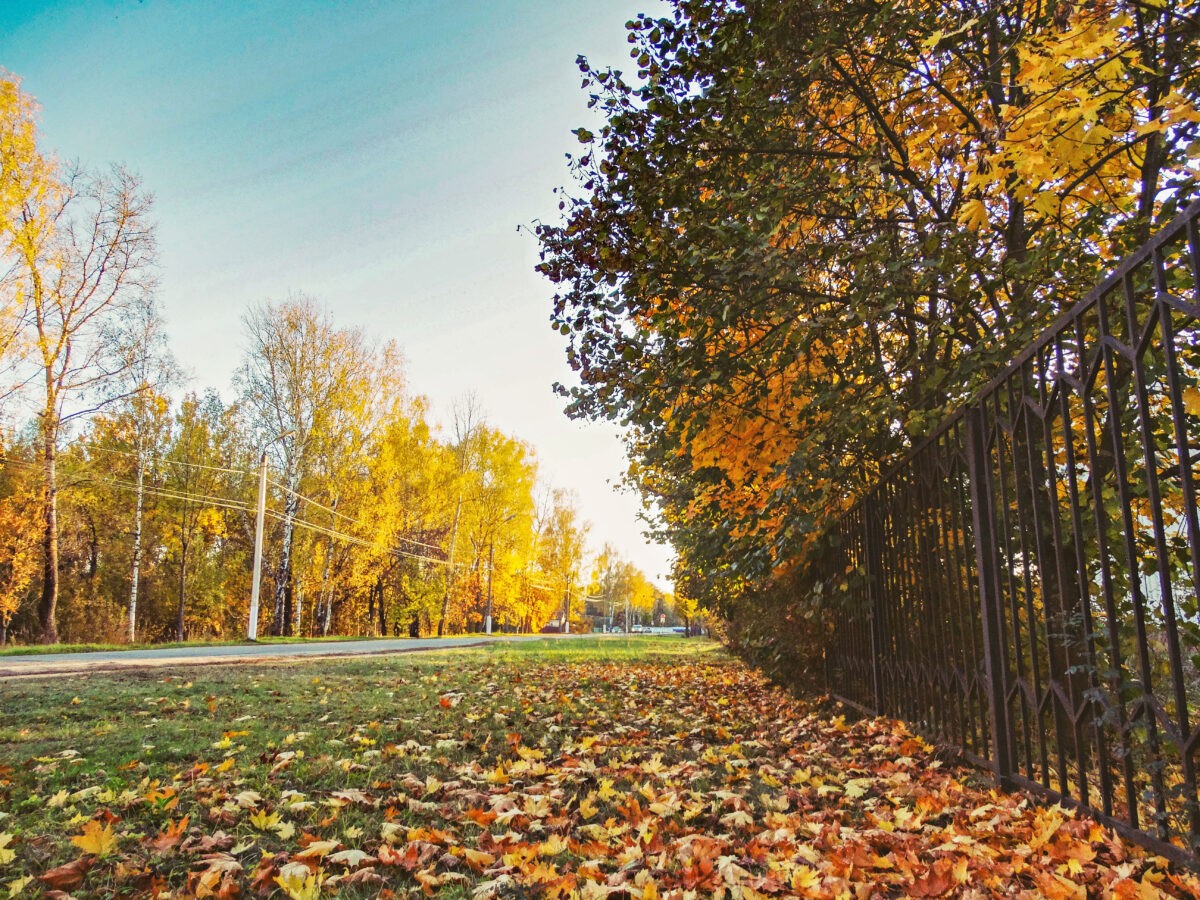 Названы главные опасности бабьего лета