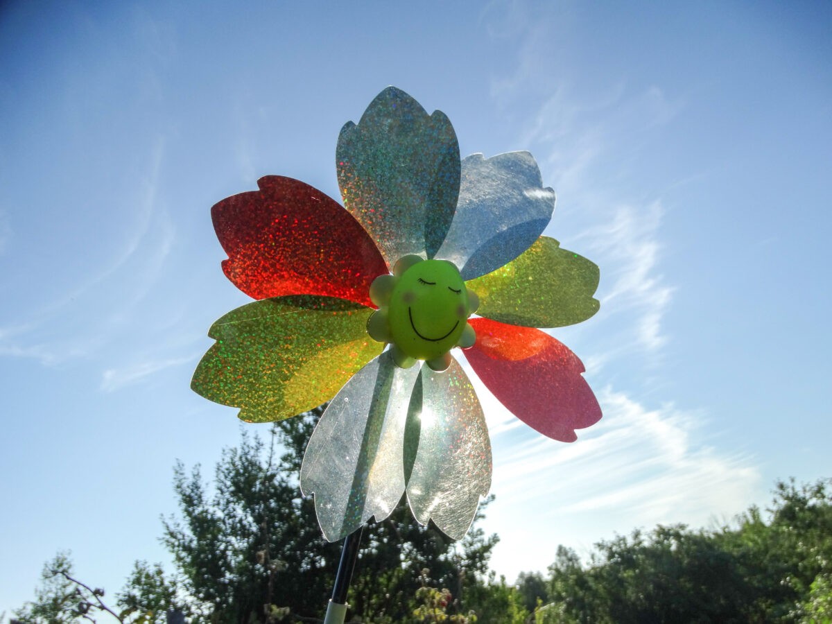 Затянувшееся лето продлит жителям Тверской области урожайный период