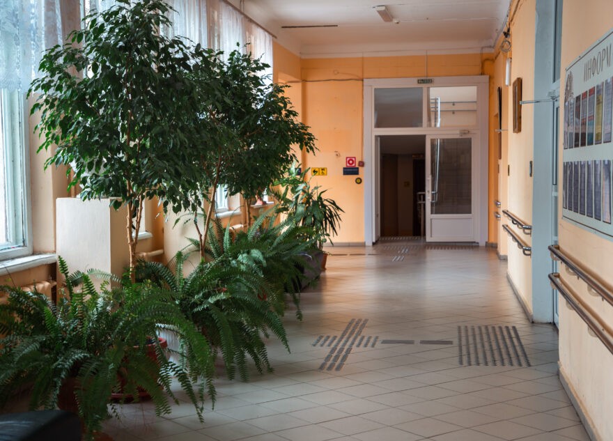 В российских школах появятся несколько новых предметов