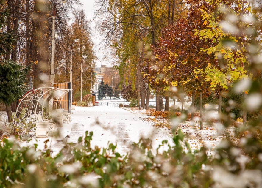 В ближайшие дни в Тверской области выпадет первый снег
