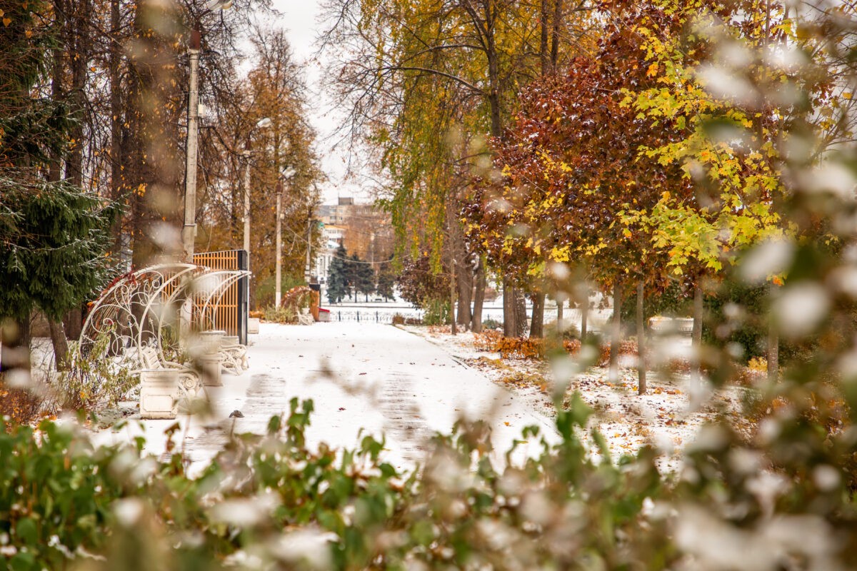 В ближайшие дни в Тверской области выпадет первый снег