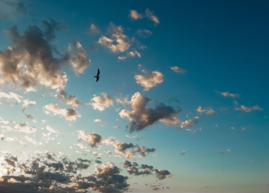 Звуки сирен услышат жители Тверской области