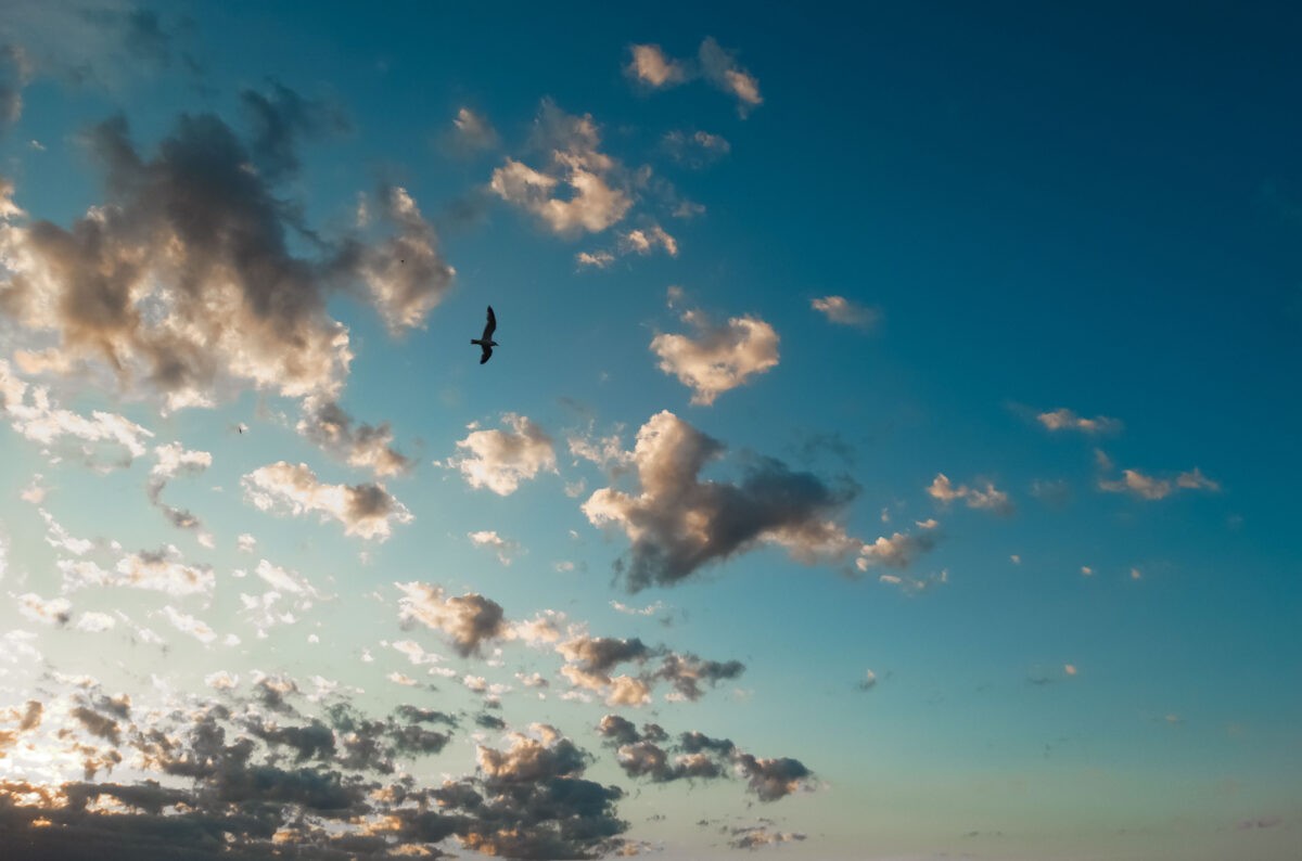 Звуки сирен услышат жители Тверской области