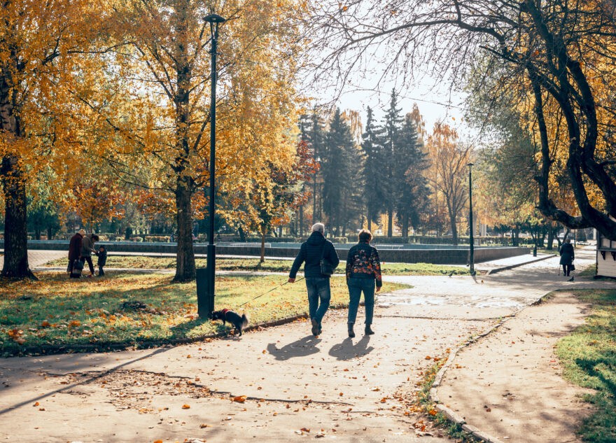 Россияне рассказали о последствиях теплой осени