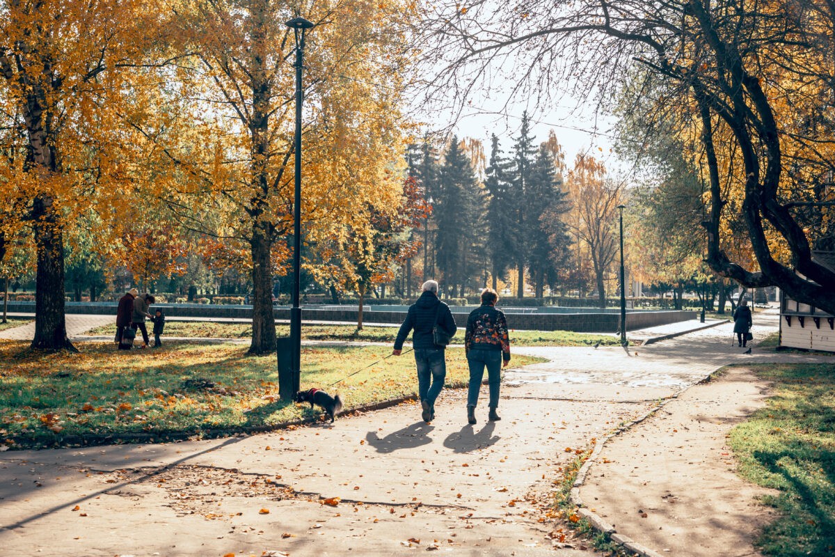 Россияне рассказали о последствиях теплой осени