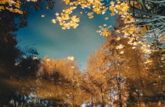 Прощай, лето: на Тверскую область надвигается резкое похолодание Прощай, лето: на Тверскую область надвигается резкое похолодание