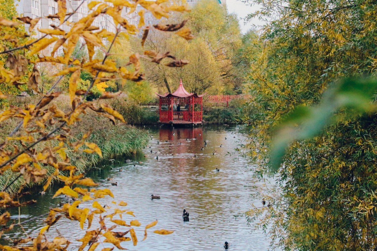 Синоптики рассказали, как долго продлится похолодание в Тверской области