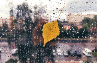 В ближайшие дни в Тверскую область нагрянут дожди В ближайшие дни в Тверскую область нагрянут дожди