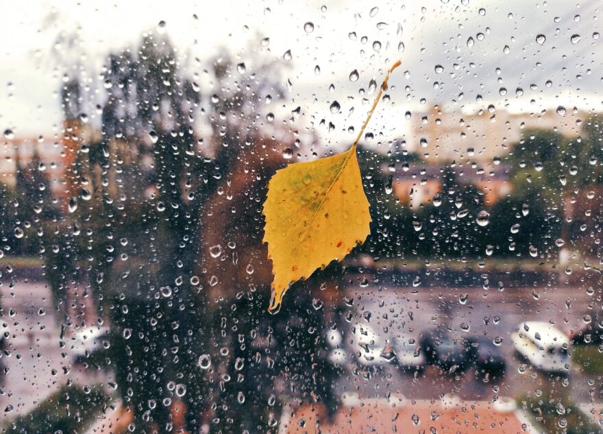 В ближайшие дни в Тверскую область нагрянут дожди