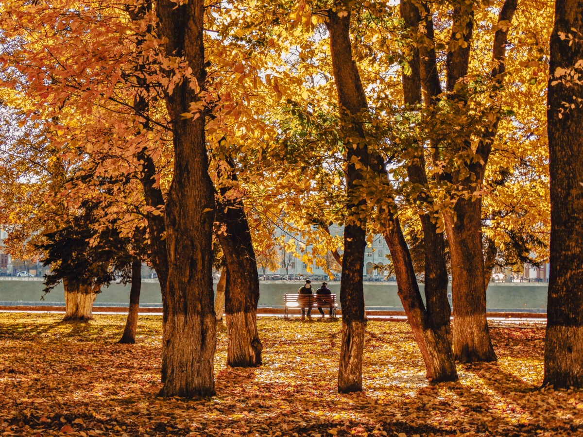 На следующей неделе погода готовит жителям Тверской области несколько сюрпризов