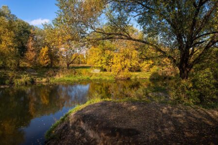 В Тверскую область возвращается лето В Тверскую область возвращается лето
