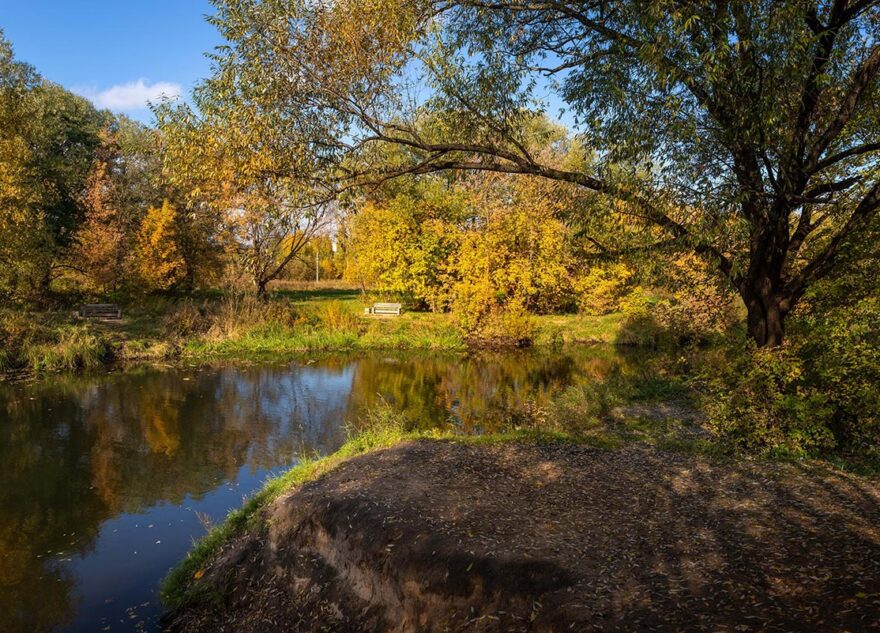 В Тверскую область возвращается лето