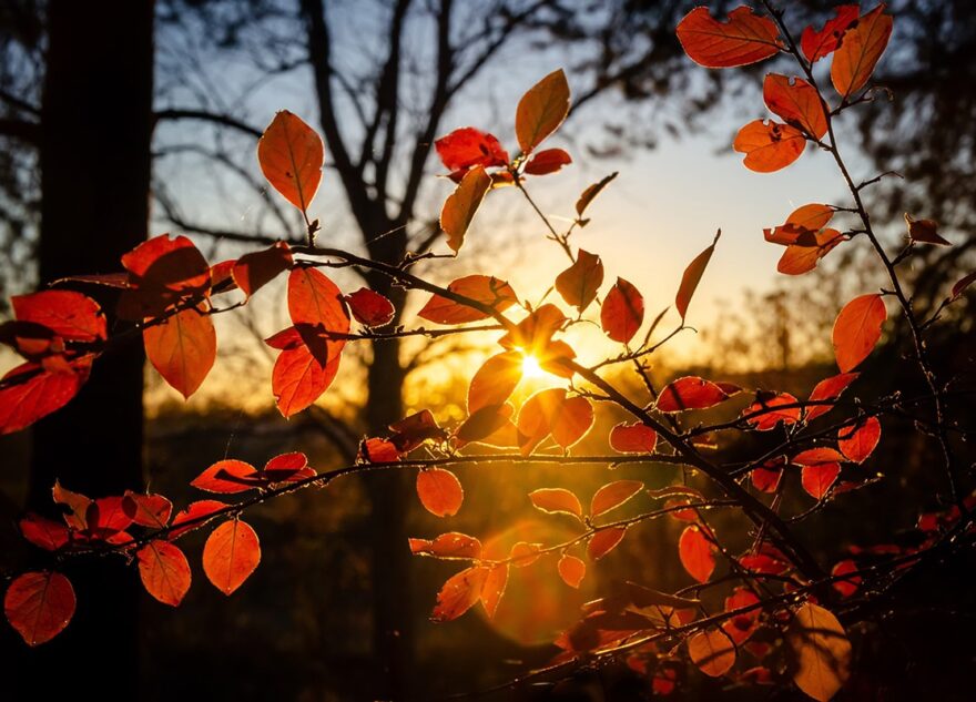 Вторая попытка осени захватить Тверскую область провалилась