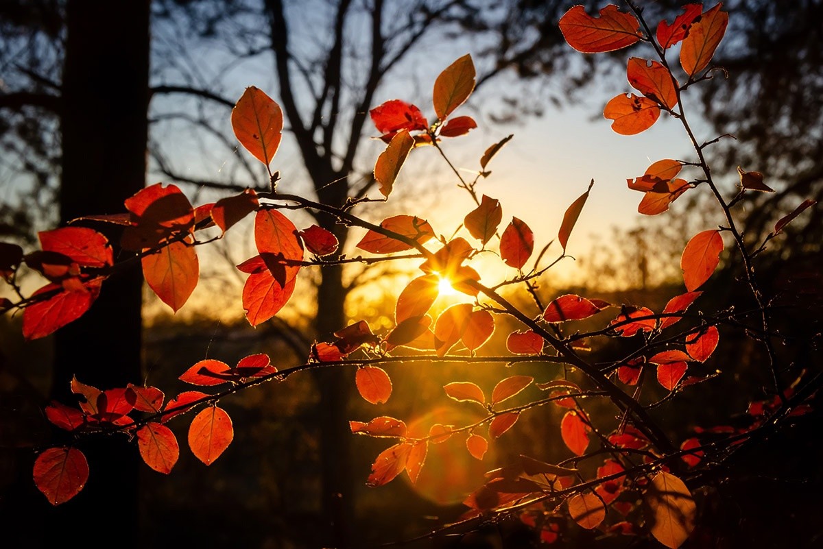 Вторая попытка осени захватить Тверскую область провалилась
