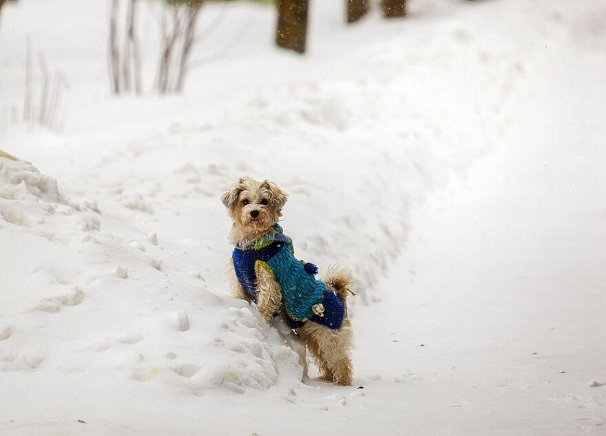 Грядущая зима в Тверской области будет экстремальной