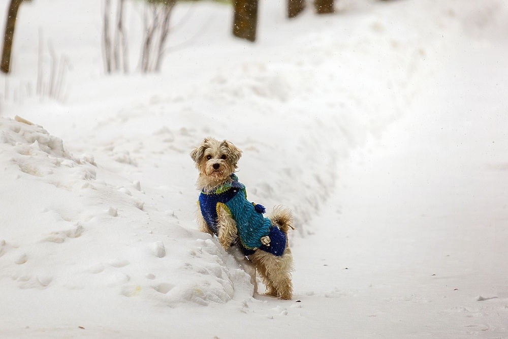 Грядущая зима в Тверской области будет экстремальной