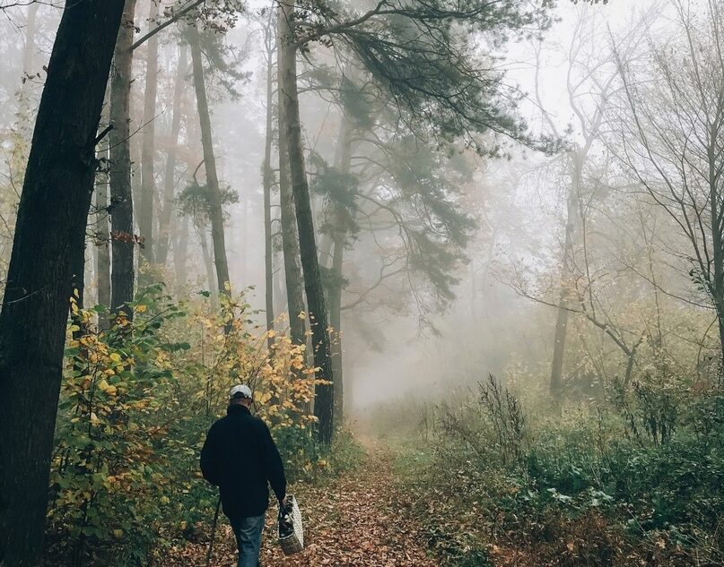В Тверской области нашли погибшими девять человек