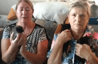 Две бабушки из Тверской области носили канистры с кипятком, чтобы спасти бездомных кошек Две бабушки из Тверской области носили канистры с кипятком, чтобы спасти бездомных кошек