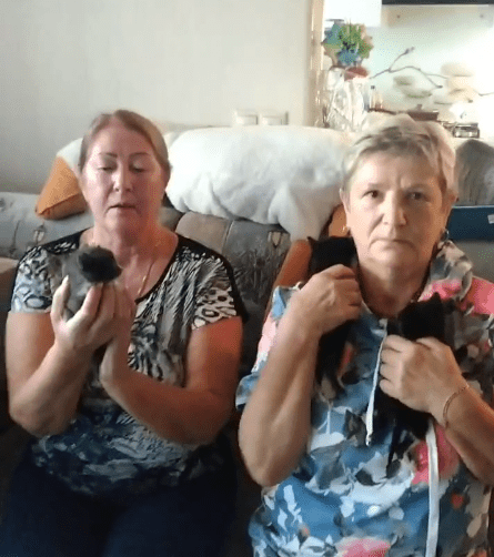 Две бабушки из Тверской области носили канистры с кипятком, чтобы спасти бездомных кошек