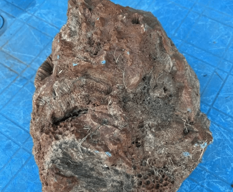 Житель Тверской области продает булыжник за 1 миллион рублей