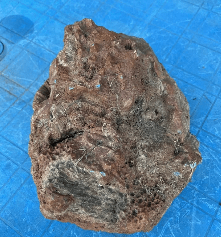 Житель Тверской области продает булыжник за 1 миллион рублей Житель Тверской области продает булыжник за 1 миллион рублей