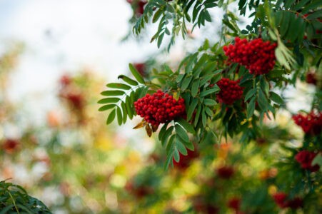 Синоптики уточнили свои прогнозы на жаркий сентябрь в Тверской области