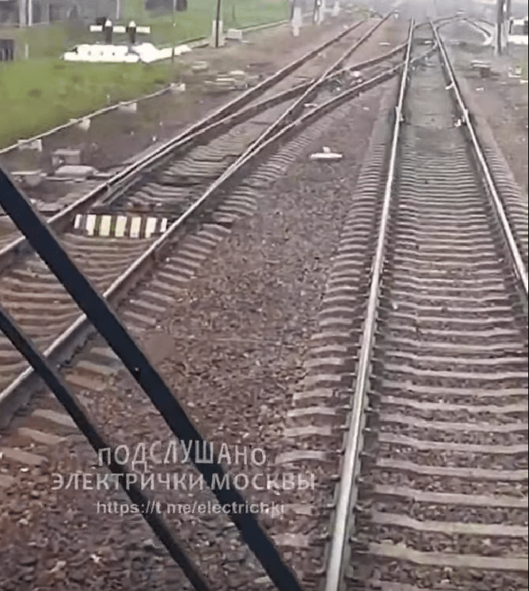 В ОЖД назвали причину гибели женщины под колесами «Сапсана» в Тверской области