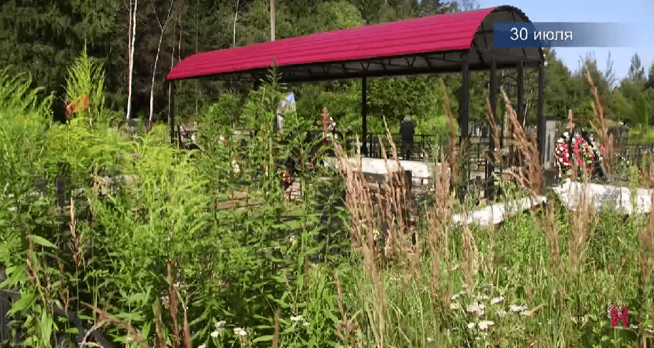 Житель Тверской области четыре месяца не может попасть на семейную могилу