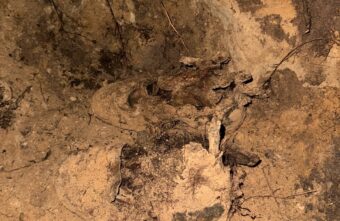 В Тверской области нашли останки неизвестного красноармейца В Тверской области нашли останки неизвестного красноармейца