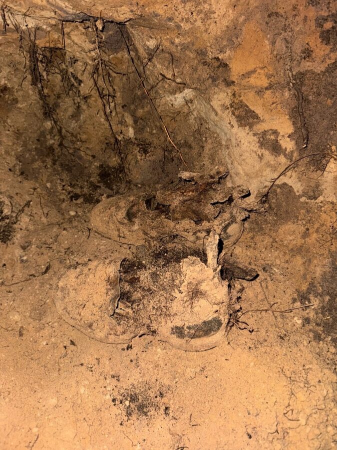 В Тверской области нашли останки неизвестного красноармейца