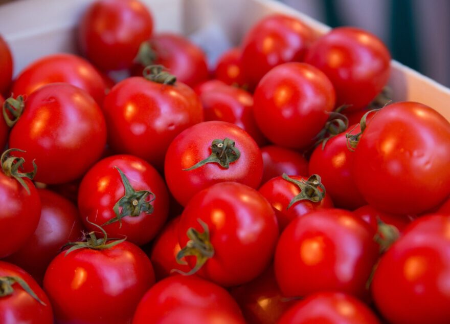 Врач рассказал, почему вредно есть помидоры