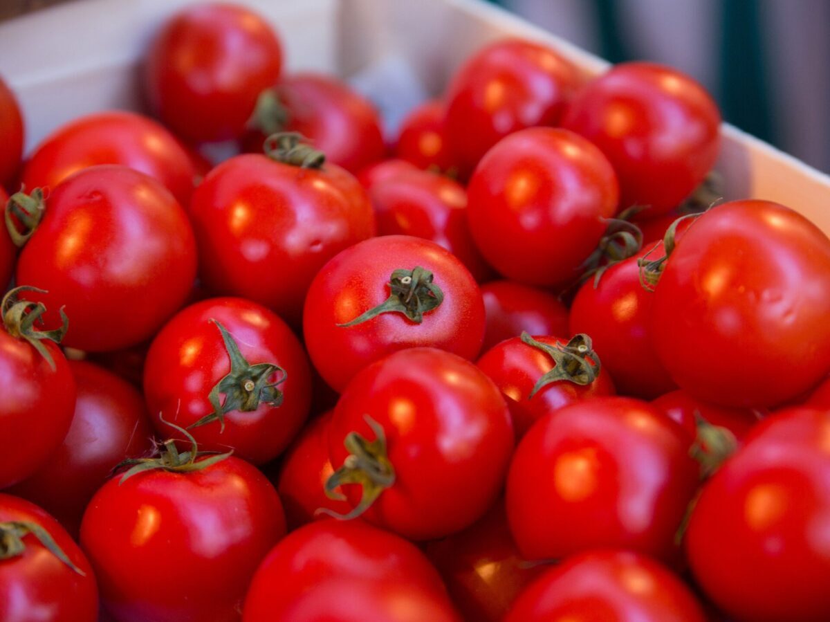 Врач рассказал, почему вредно есть помидоры