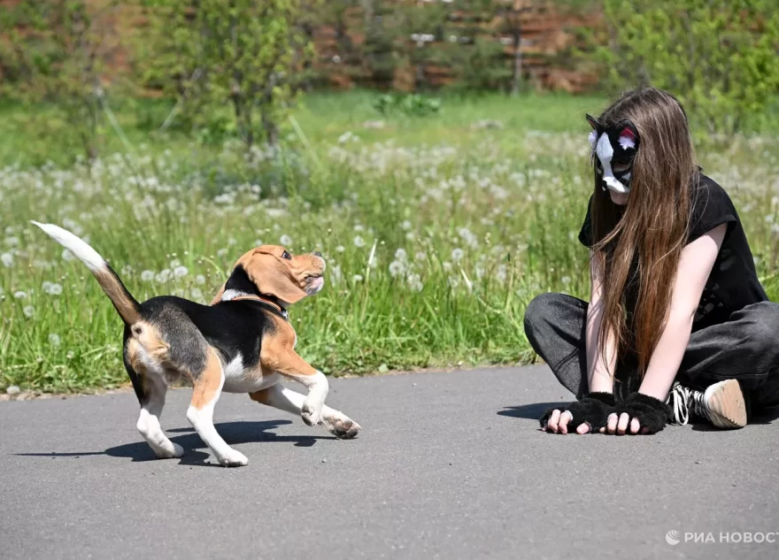 Психолог рассказала об опасности квадробинга для мозга детей