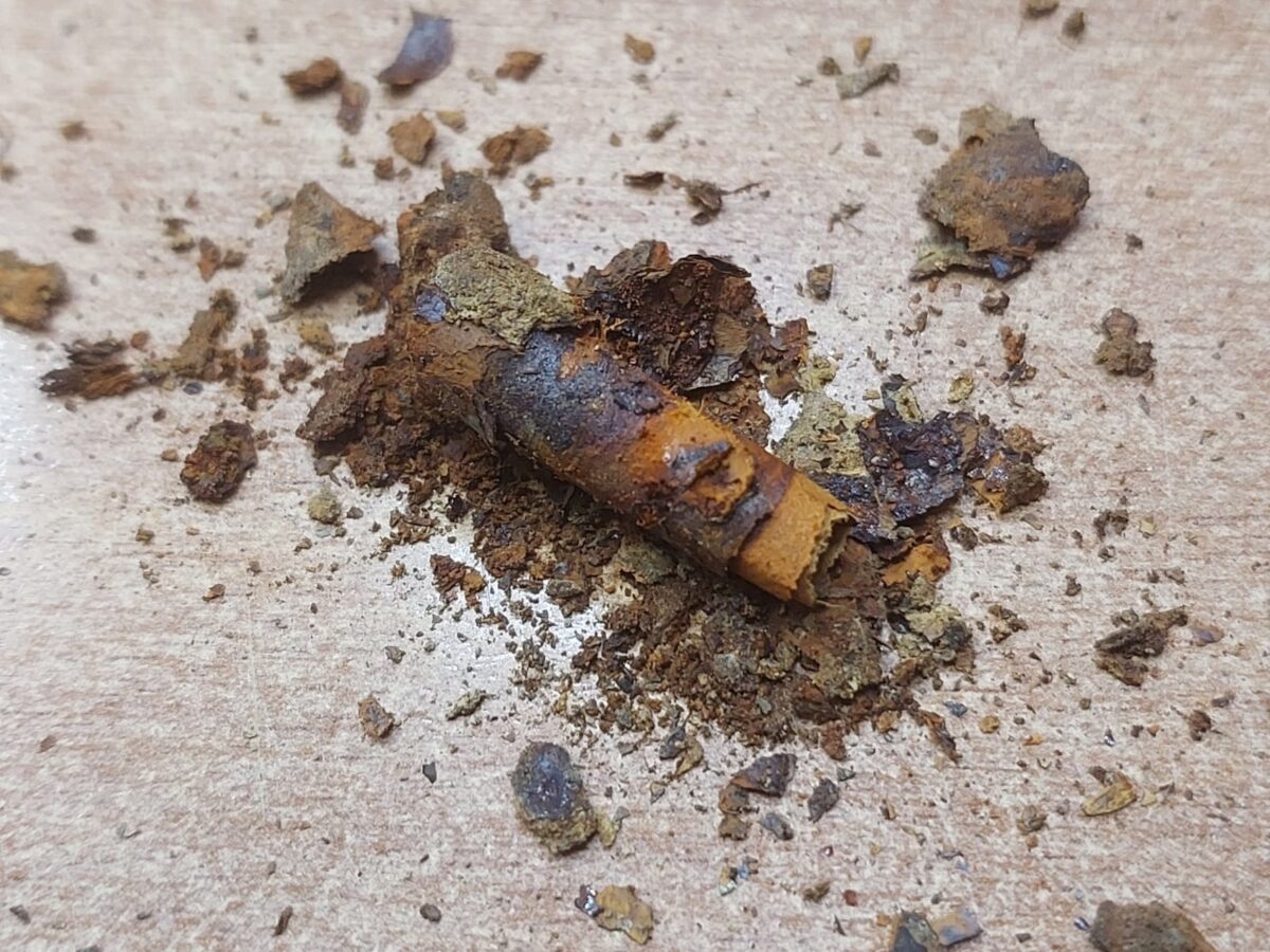 Поисковики установили имя солдата, останки которого нашли в Тверской области