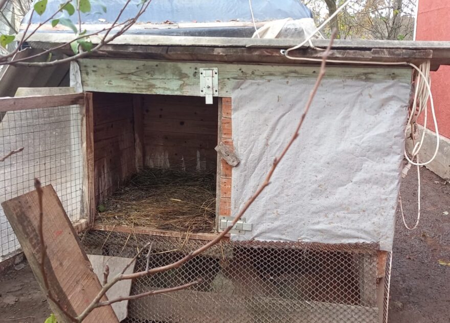 Семья из Тверской области спасла раненого аиста