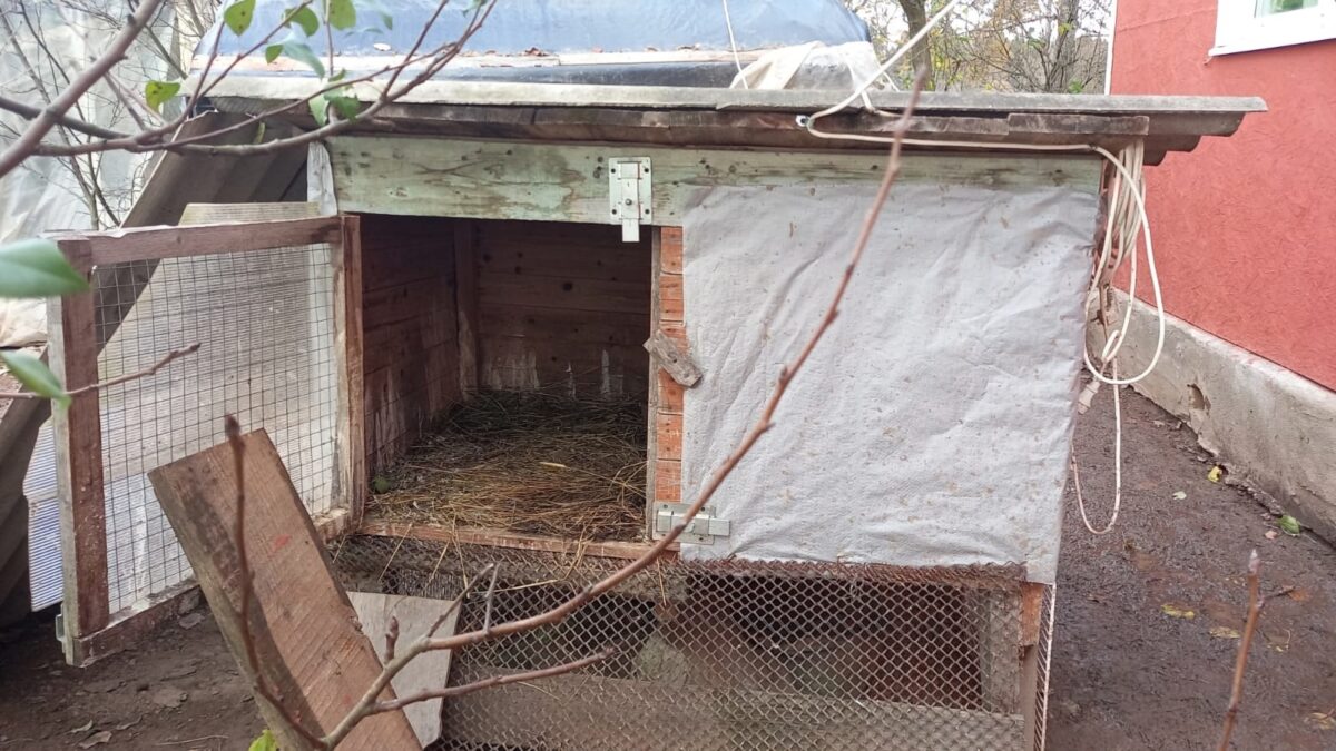 Семья из Тверской области спасла раненого аиста