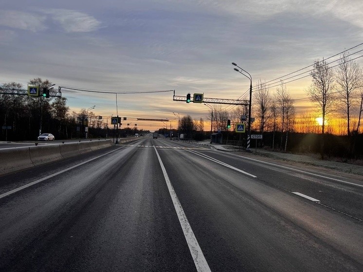 Грузовик насмерть сбил пешехода под Тверью