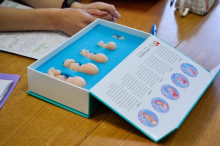 В школах Твери проходит мероприятие «Мы за жизнь» В школах Твери проходит мероприятие «Мы за жизнь»