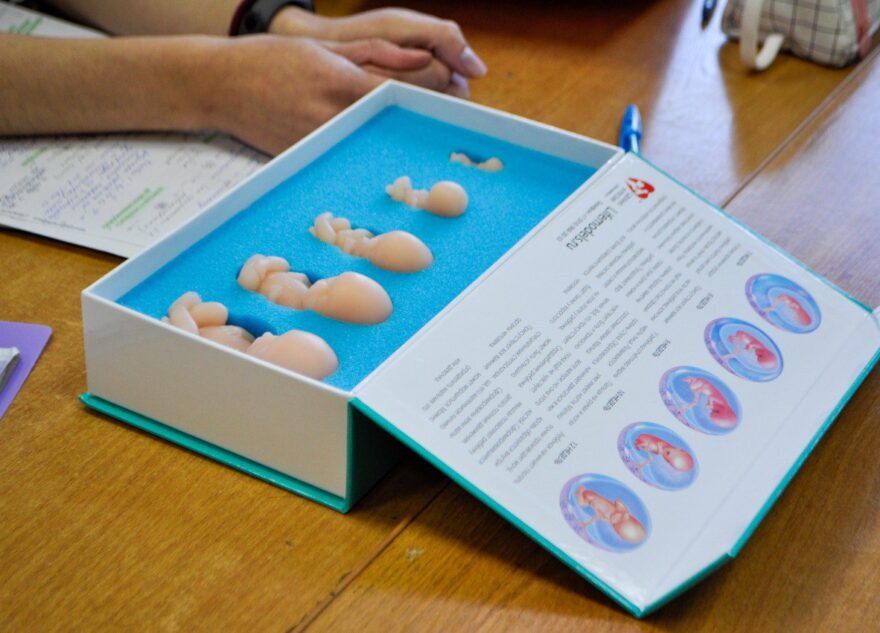 В школах Твери проходит мероприятие «Мы за жизнь»