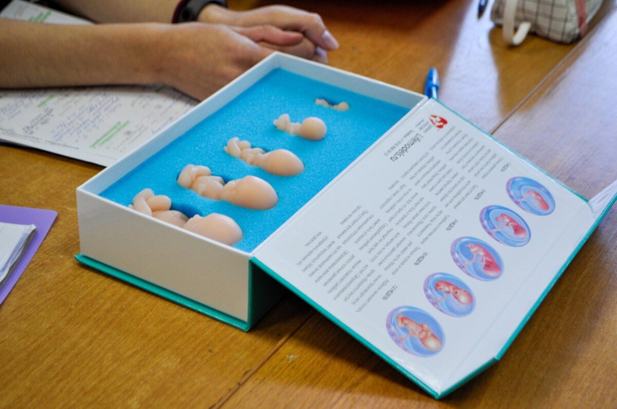 В школах Твери проходит мероприятие «Мы за жизнь»