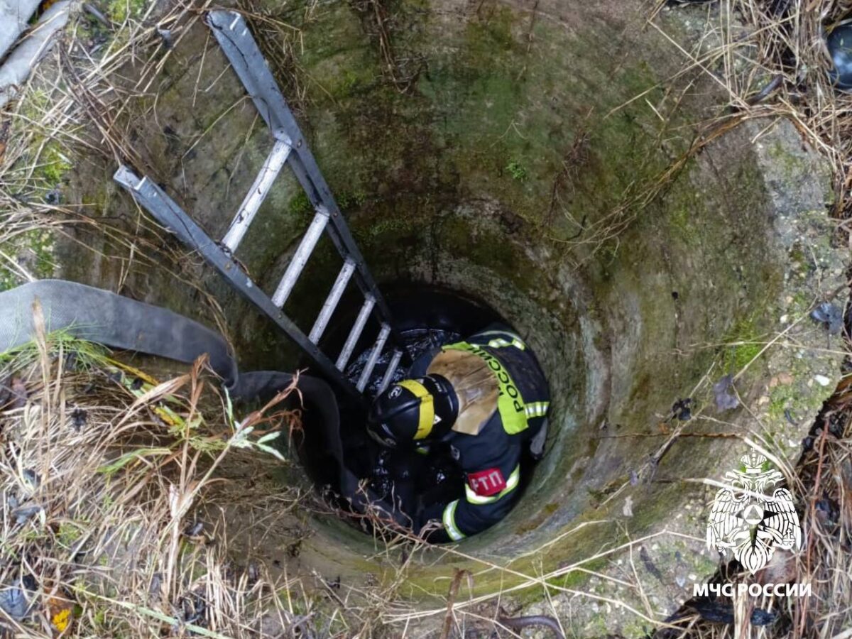 Доставать собак из колодца в Тверской области пришлось спасателям