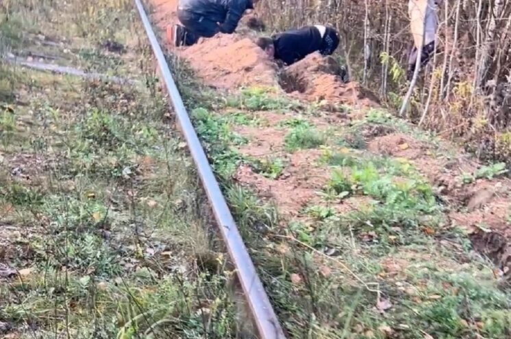 Похитители рельсов под Тверью попали на видео
