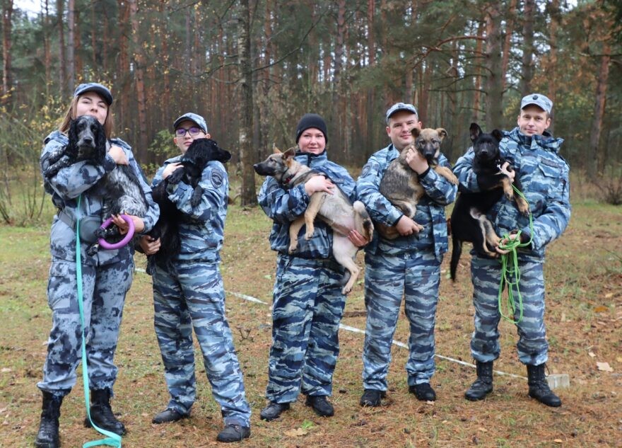 В УМВД Тверской области пришли служить пять щенков