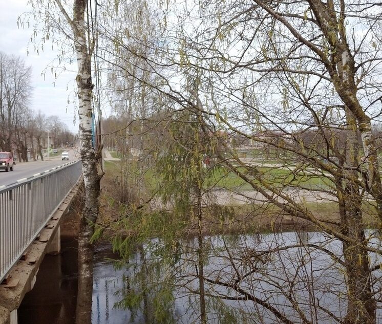 В Андреаполе Тверской области пройдет краеведческая конференция