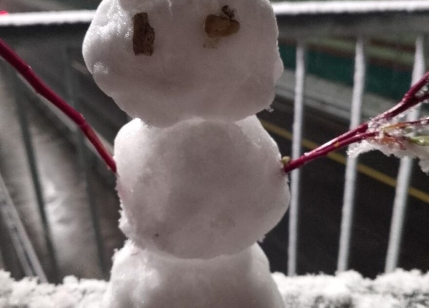 В Тверской области начали лепить первых снеговиков