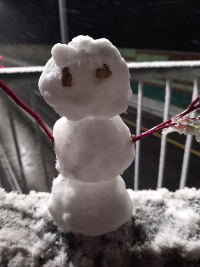 В Тверской области начали лепить первых снеговиков В Тверской области начали лепить первых снеговиков