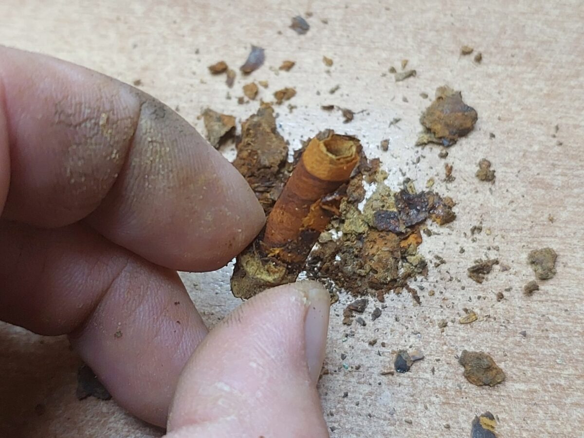 Поисковики установили имя солдата, останки которого нашли в Тверской области