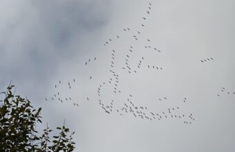 Народные приметы расскажут, какой будет зима в Тверской области Народные приметы расскажут, какой будет зима в Тверской области